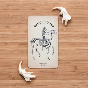 Antique Anatomy Tarot