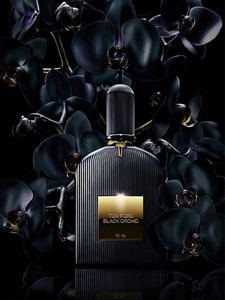 Tom Ford Black Orchid