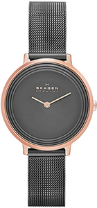 Часы Skagen