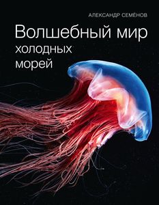 ВОЛШЕБНЫЙ МИР. ХОЛОДНЫХ МОРЕЙ