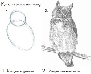 Книги-самоучители по рисованию