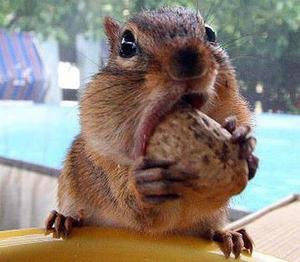 улучшить дикцию