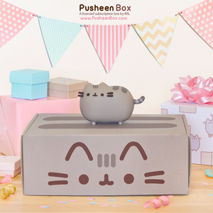 Pusheen box