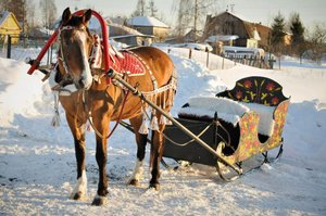 Покататься на санях