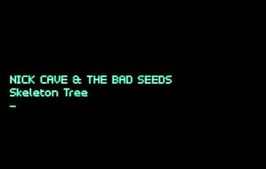 Nick Cave and The Bad Seeds Skeleton Tree