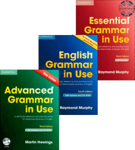 Essential (English) Grammar In Use