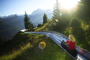 Прокатиться летом на тобоггане, с горки отеля Oeschinensee (Швейцария, Кандерштег)