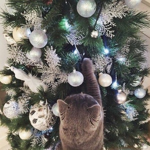 white garland