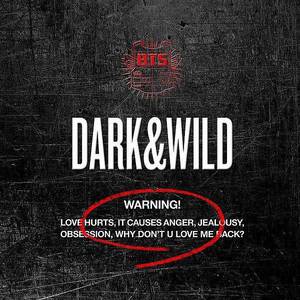 Dark & Wild [album]