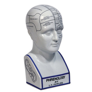 БЮСТ PHRENOLOGY HEADD