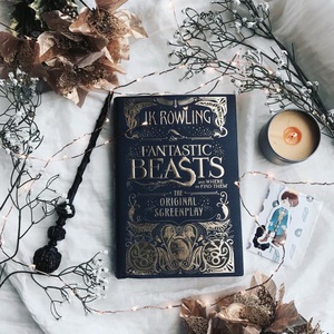 Fantastic Beasts and Where to Find Them: The Original Screenplay