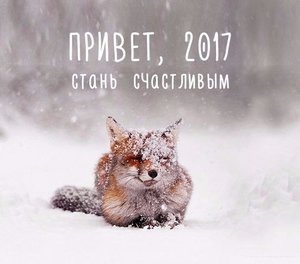 Добрый, теплый, незабываемый и очень счастливый 2017 год