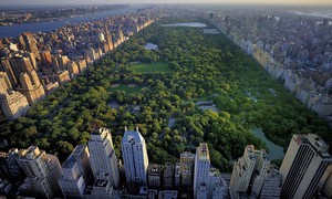 Обойти весь Central Park (США,Нью Йорк)