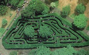 Hampton court maze