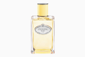 PRADA Infusion de Mimosa