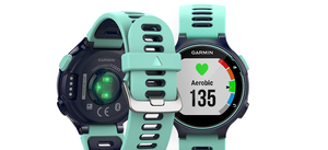 Garmin Forerunner® 735XTwith tri bandle