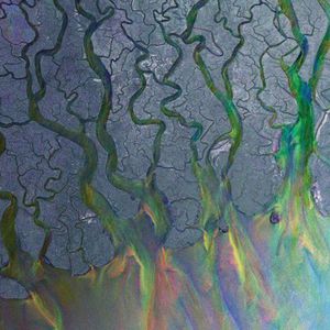 Alt-J-An Awesome Wave Vinyl / 12" Album NEW