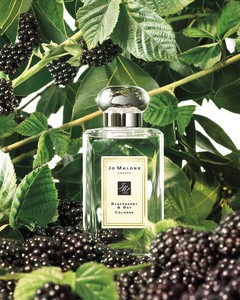 Blackberry&Bay Jo Malone