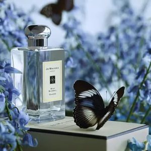 Jo Malone Wild Bluebell