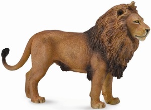 африканский лев