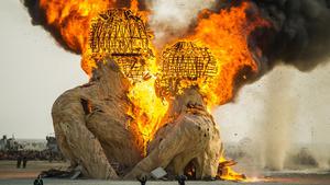 Поездка на фестиваль Burning man