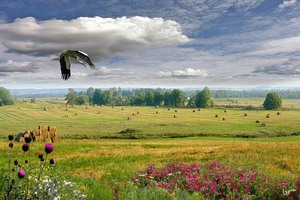 С мамой в Белоруссию летом