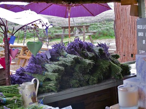 Lavender farm in 15 miles from central London