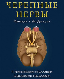 Черепные нервы. Функция и дисфункция