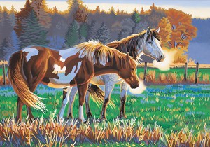 Раскраска по номерам "Кони на пастбище"
