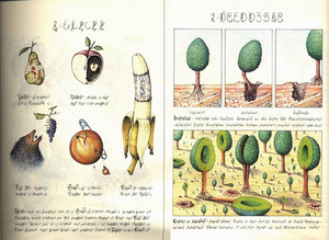 Codex Seraphinianus