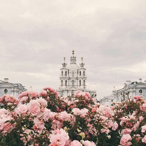 купить билеты