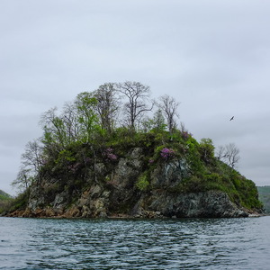 остров Папенберга