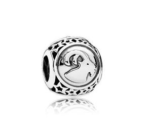 Capricorn Charm