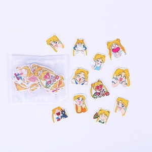 Sailor moon stickers