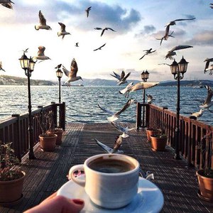 кофе на пристани