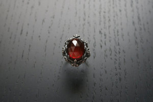 Galactic Forest Ring - GARNET