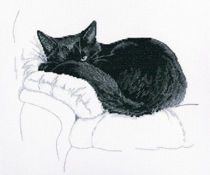 Among black cats (РТО-М668)