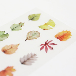 Autumn Leavse Korean Stickers