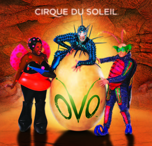 Билеты на шоу OVO от Cirque du Soleil в мае