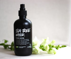 Tea Tree Water Lush