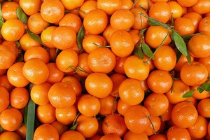 Мандарины *_*