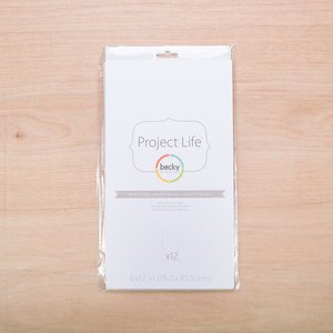 Project Life file design 1 by Becky Higgins