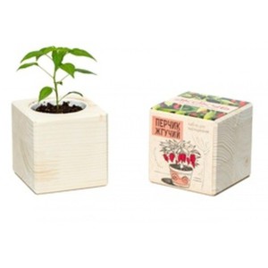 Набор для выращивания