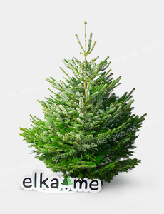 Датская елка