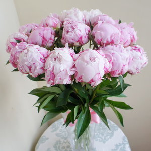 Peonies