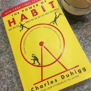 The Power of Habit