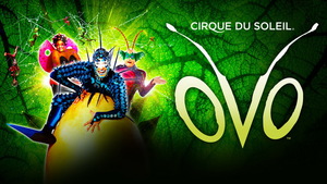 Билеты на шоу Cirque du Soleil