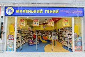 Игрушки из магазина "Маленький Гений" litgen.ru