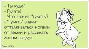 Ходить гулять каждый день