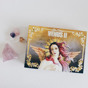 Палитра теней для век Lime Crime Venus 2